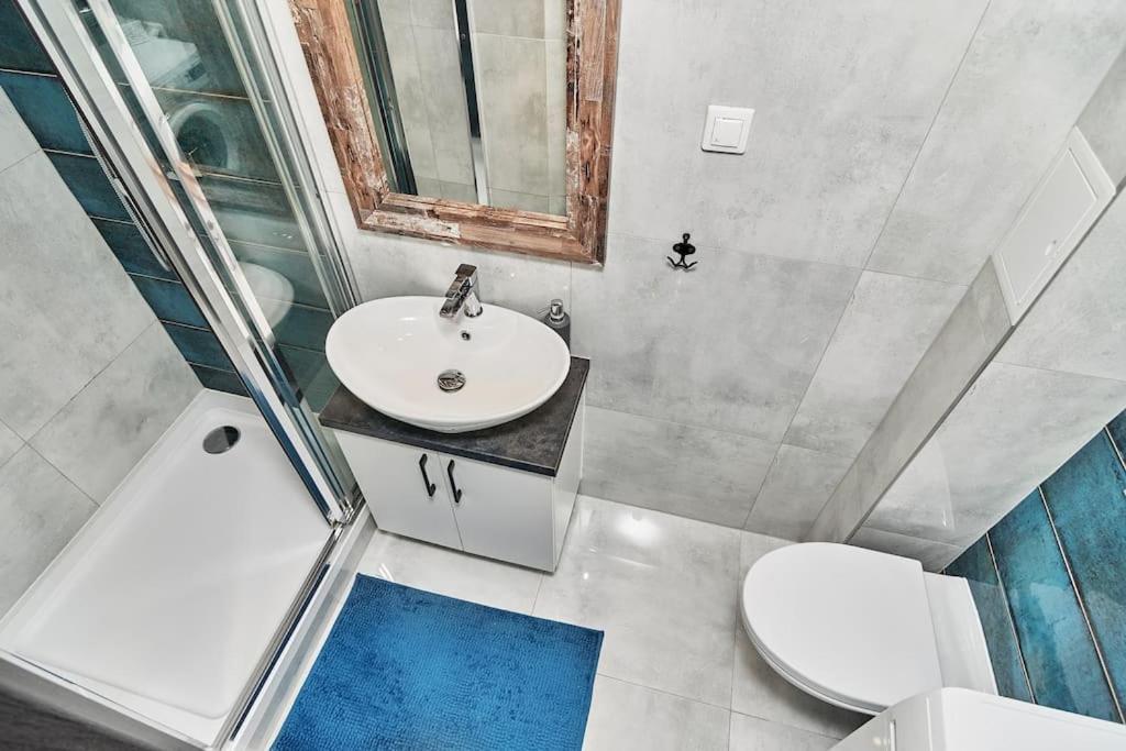 Klimatyczne Mieszkanie Centrum Apartment